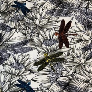 Eye Spy Dragonflies - Image 5